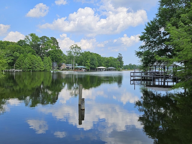 141 Woodlake Dr, Manning, SC 29102