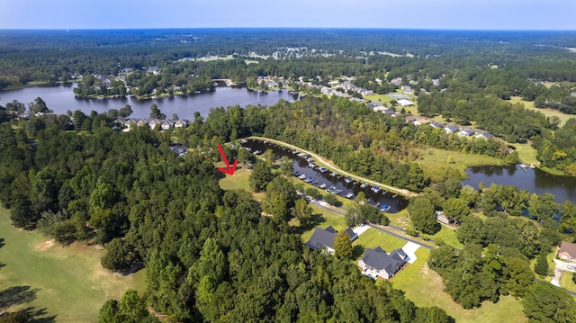 141 Woodlake Dr, Manning, SC 29102