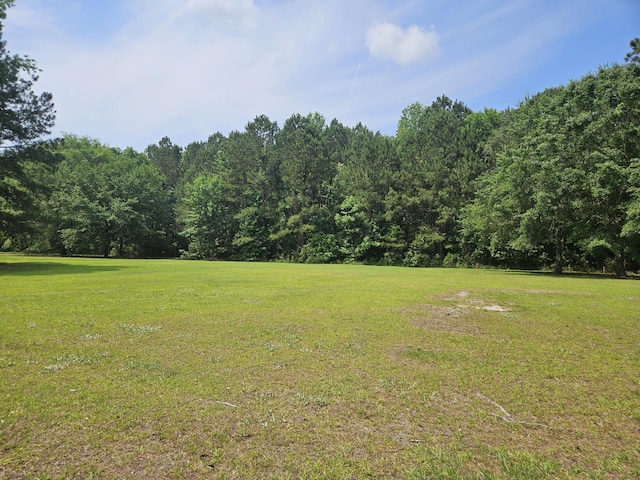 141 Woodlake Dr, Manning, SC 29102