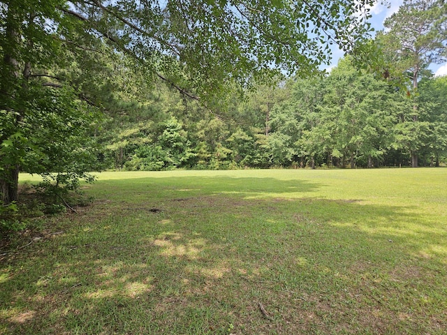141 Woodlake Dr, Manning, SC 29102