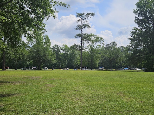 141 Woodlake Dr, Manning, SC 29102