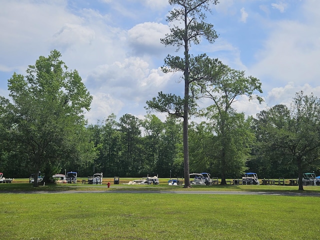 141 Woodlake Dr, Manning, SC 29102