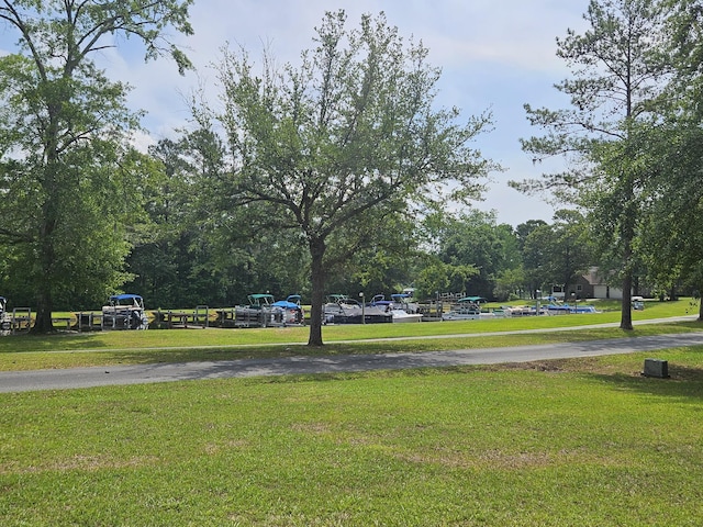141 Woodlake Dr, Manning, SC 29102