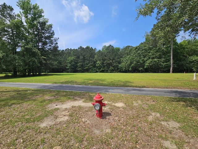 141 Woodlake Dr, Manning, SC 29102