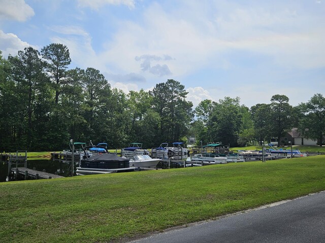 141 Woodlake Dr, Manning, SC 29102