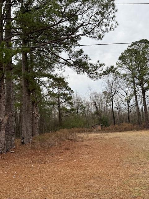 325 Rock Hill Rd, Vance SC, 29163 land for sale