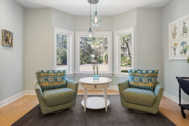 living area featuring hardwood / wood-style floors and a wealth of natural light