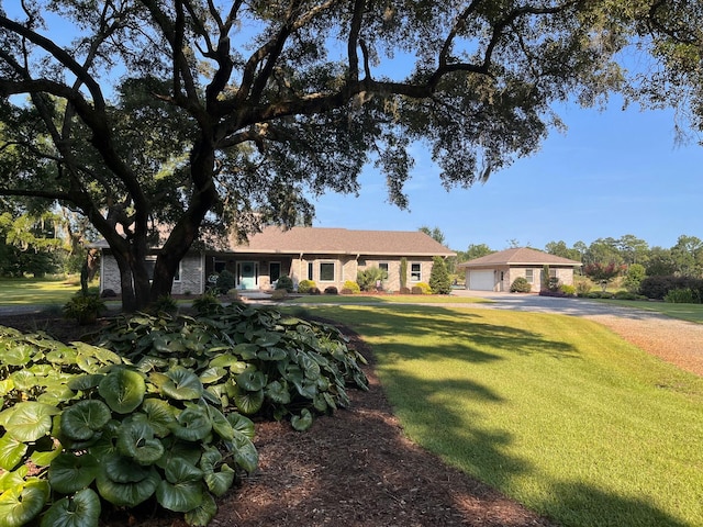 ranch-style house with a front lawn