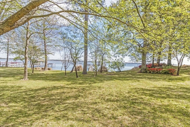 view of yard featuring a water view