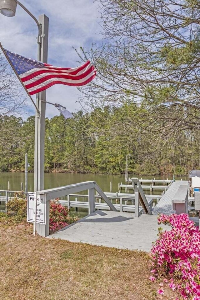 dock area with a water view