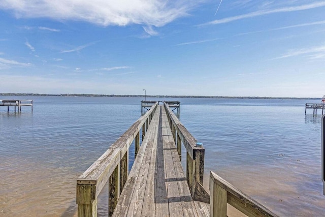 dock area with a water view