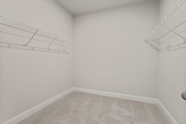 spacious closet with carpet floors