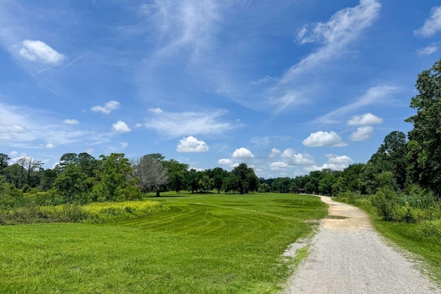 104 Queens Ct, Summerville, SC 29485 - view of community with a lawn