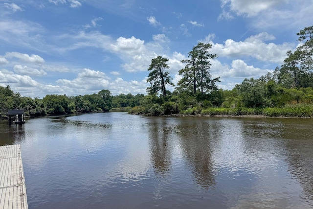 104 Queens Ct, Summerville, SC 29485 - water view with a heavily wooded area