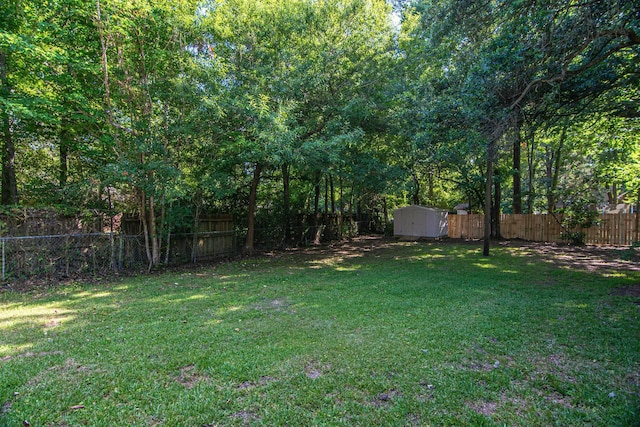 view of yard with a storage unit