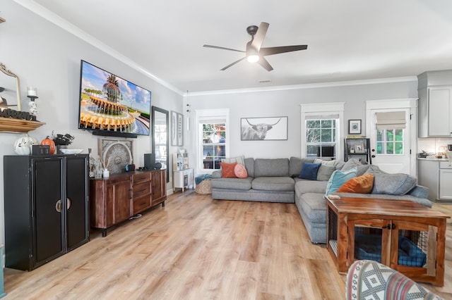 living room featuring ceiling fan, a healthy amount of sunlight, light wood-type flooring, and crown molding