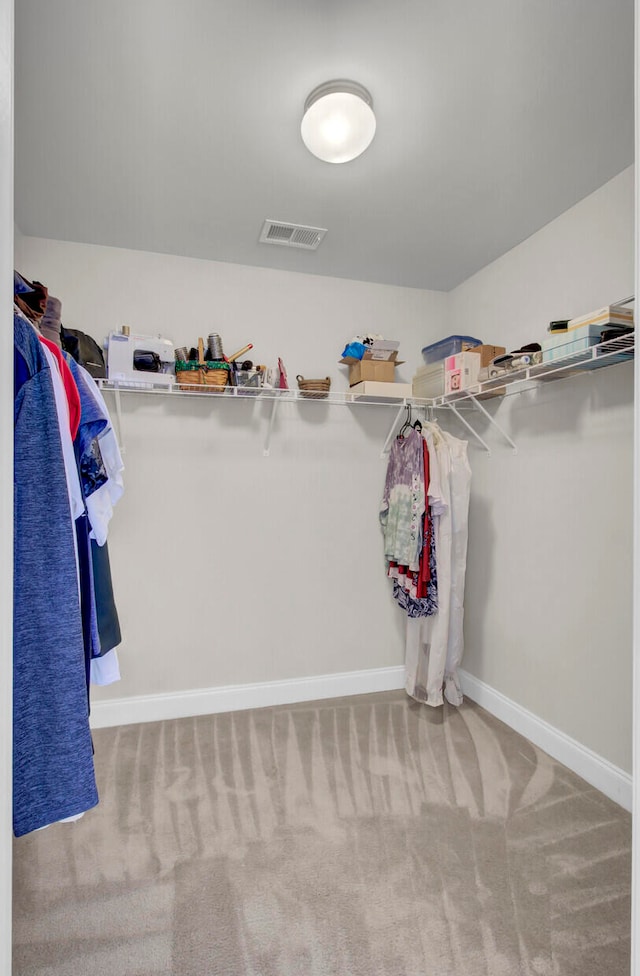 spacious closet with carpet flooring