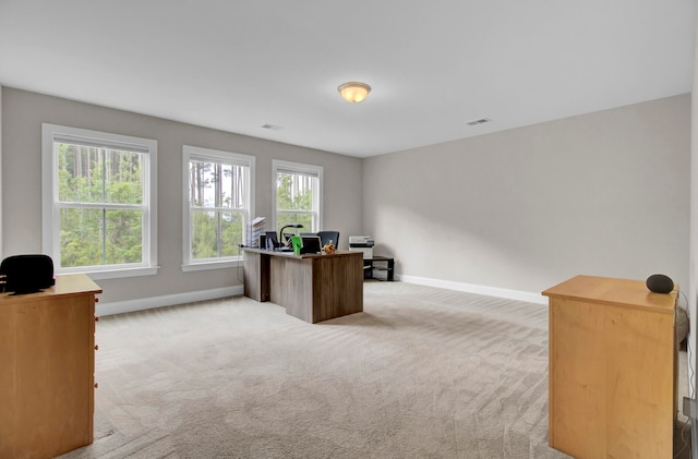 carpeted home office featuring plenty of natural light