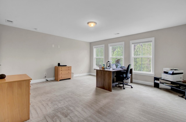 office featuring light colored carpet