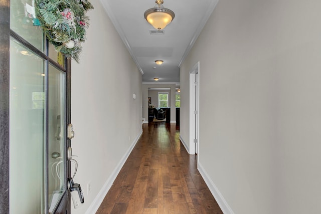 corridor featuring crown molding and dark wood-type flooring