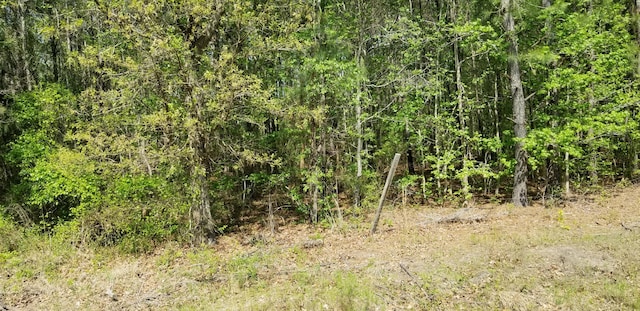 0 Belton Ln, Ruffin, SC 29475