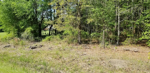 0 Belton Ln, Ruffin, SC 29475