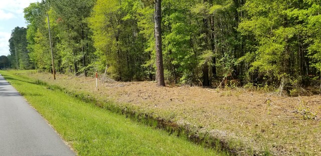 0 Belton Ln, Ruffin, SC 29475