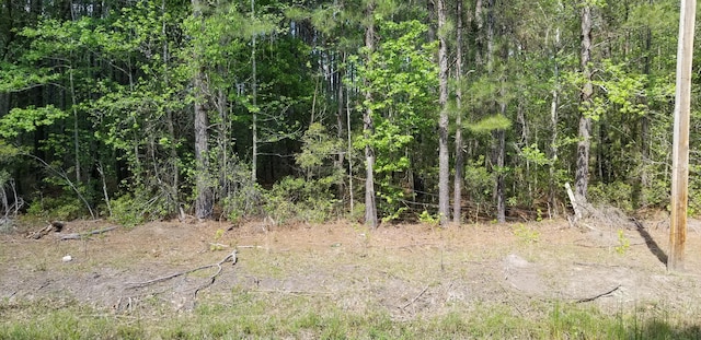 0 Belton Ln, Ruffin, SC 29475