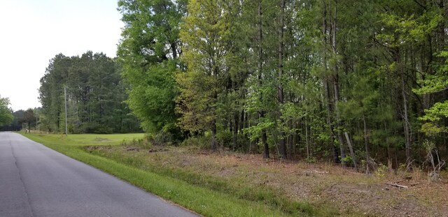 0 Belton Ln, Ruffin, SC 29475