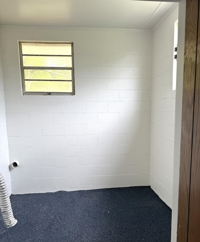 empty room featuring crown molding and carpet flooring