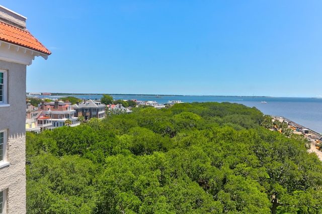 1 King Unit 702, Charleston, SC 29401 - water view