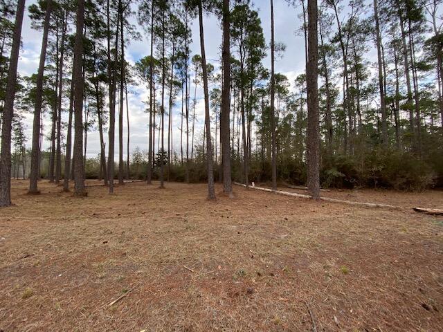 00 Fairway Dr, Hampton SC, 29924 land for sale