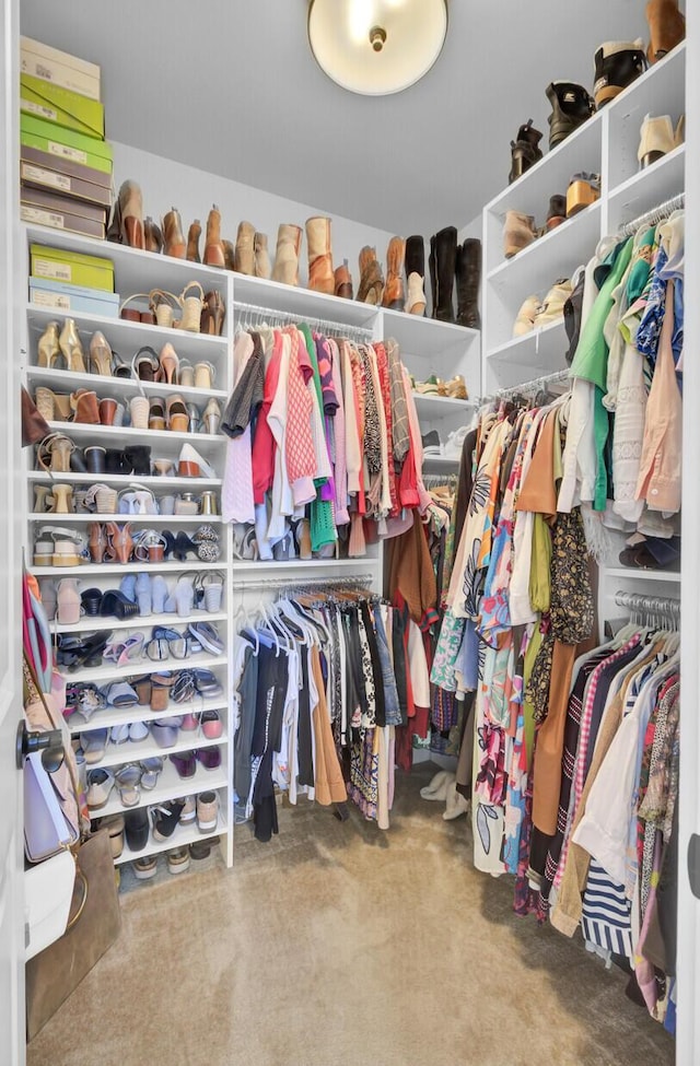 spacious closet featuring carpet