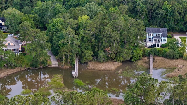 1044 Bradbury Ln, Charleston, SC 29492