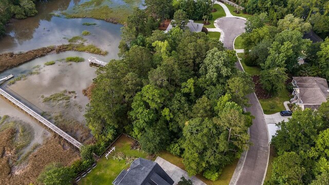 1044 Bradbury Ln, Charleston, SC 29492
