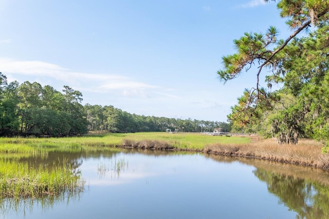 1044 Bradbury Ln, Charleston, SC 29492