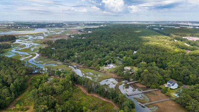 1044 Bradbury Ln, Charleston, SC 29492