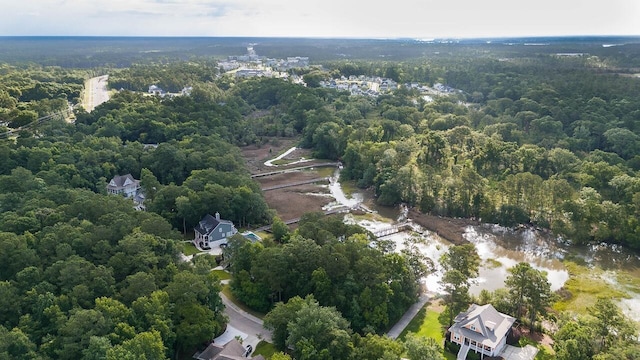 1044 Bradbury Ln, Charleston, SC 29492