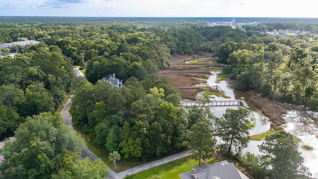 1044 Bradbury Ln, Charleston, SC 29492