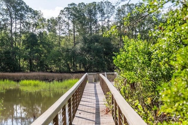 1044 Bradbury Ln, Charleston, SC 29492