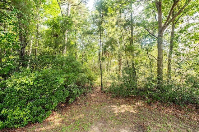 1044 Bradbury Ln, Charleston, SC 29492