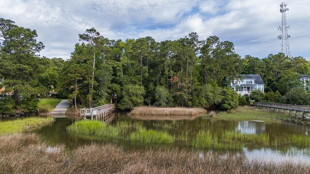 1044 Bradbury Ln, Charleston, SC 29492
