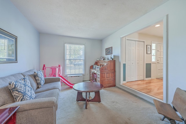 carpeted living area with a textured ceiling