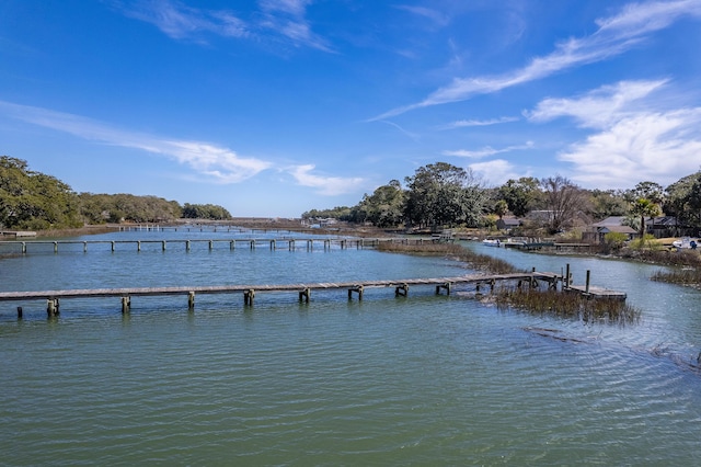 dock area featuring a water view