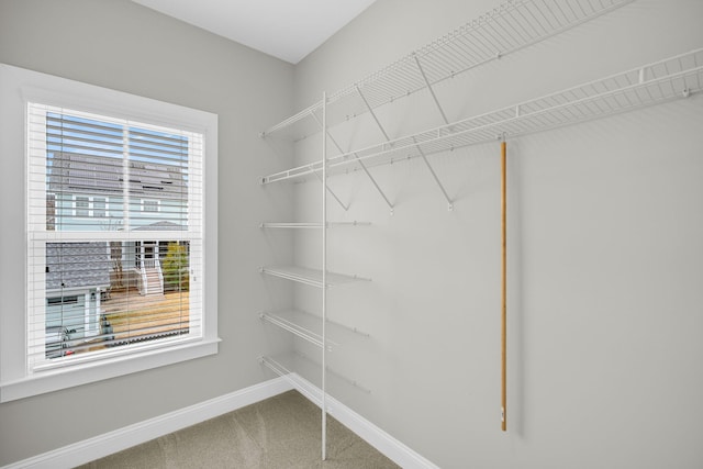 spacious closet with carpet floors