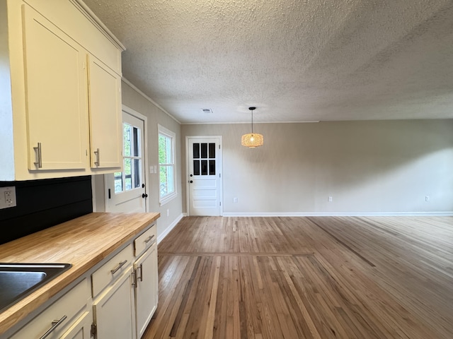 105 Dandridge Rd, Walterboro, SC 29488 - kitchen featuring butcher block counters, hardwood / wood-style floors, a textured ceiling, baseboards, and a sink