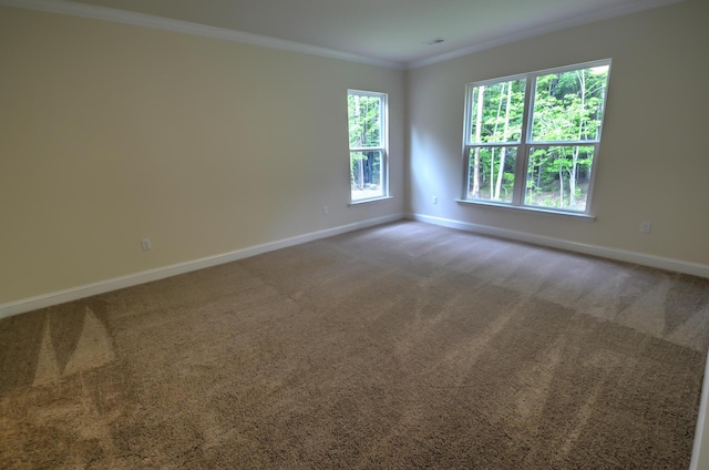 carpeted spare room with crown molding