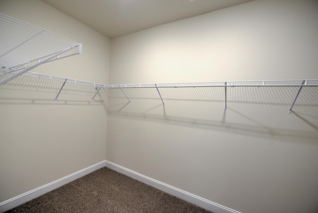 walk in closet with carpet flooring