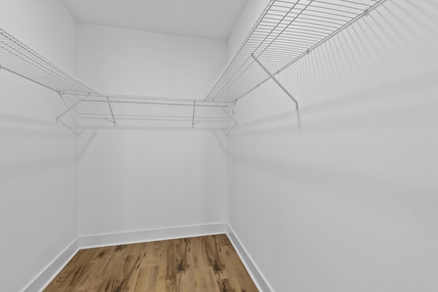 1917 Jason St, North Charleston, SC 29406 - walk in closet with wood finished floors