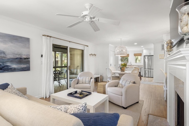 living room with ceiling fan, ornamental molding, sink, and light wood-type flooring